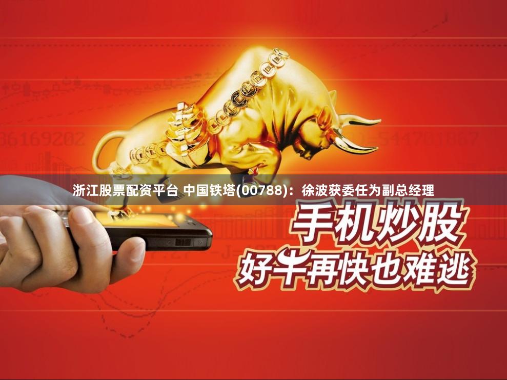 浙江股票配资平台 中国铁塔(00788)：徐波获委任为副总经理