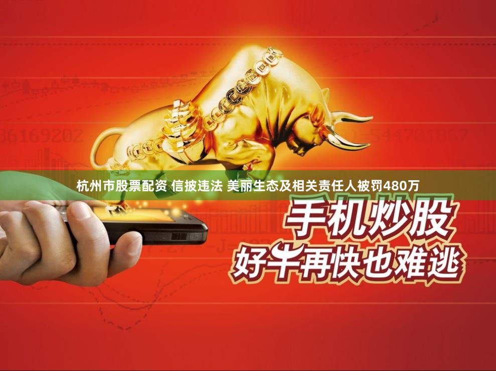 杭州市股票配资 信披违法 美丽生态及相关责任人被罚480万