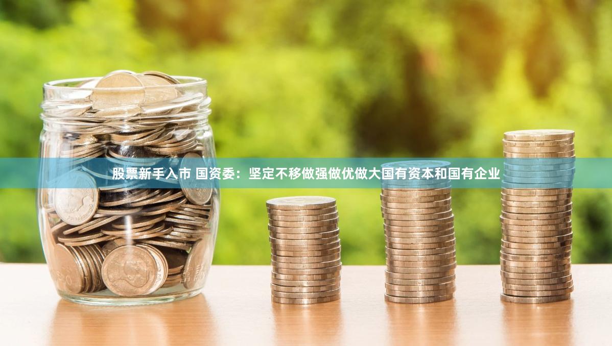 股票新手入市 国资委：坚定不移做强做优做大国有资本和国有企业