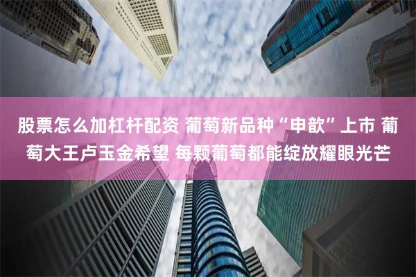 股票怎么加杠杆配资 葡萄新品种“申歆”上市 葡萄大王卢玉金希望 每颗葡萄都能绽放耀眼光芒