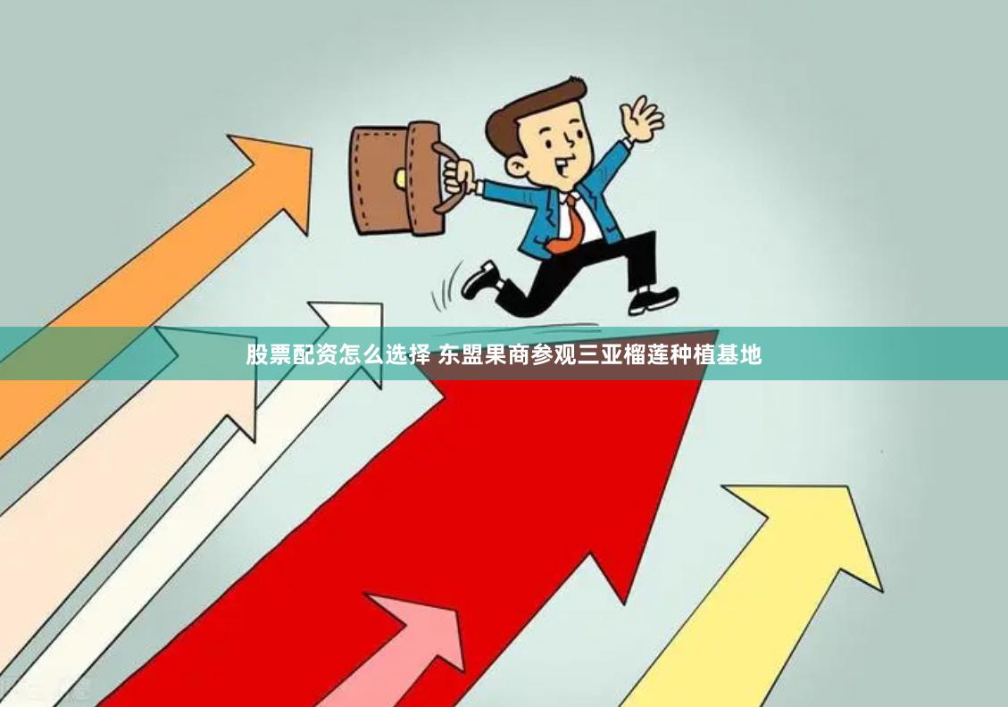 股票配资怎么选择 东盟果商参观三亚榴莲种植基地