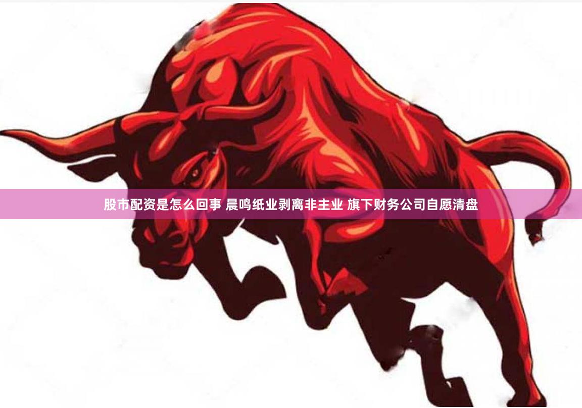 股市配资是怎么回事 晨鸣纸业剥离非主业 旗下财务公司自愿清盘